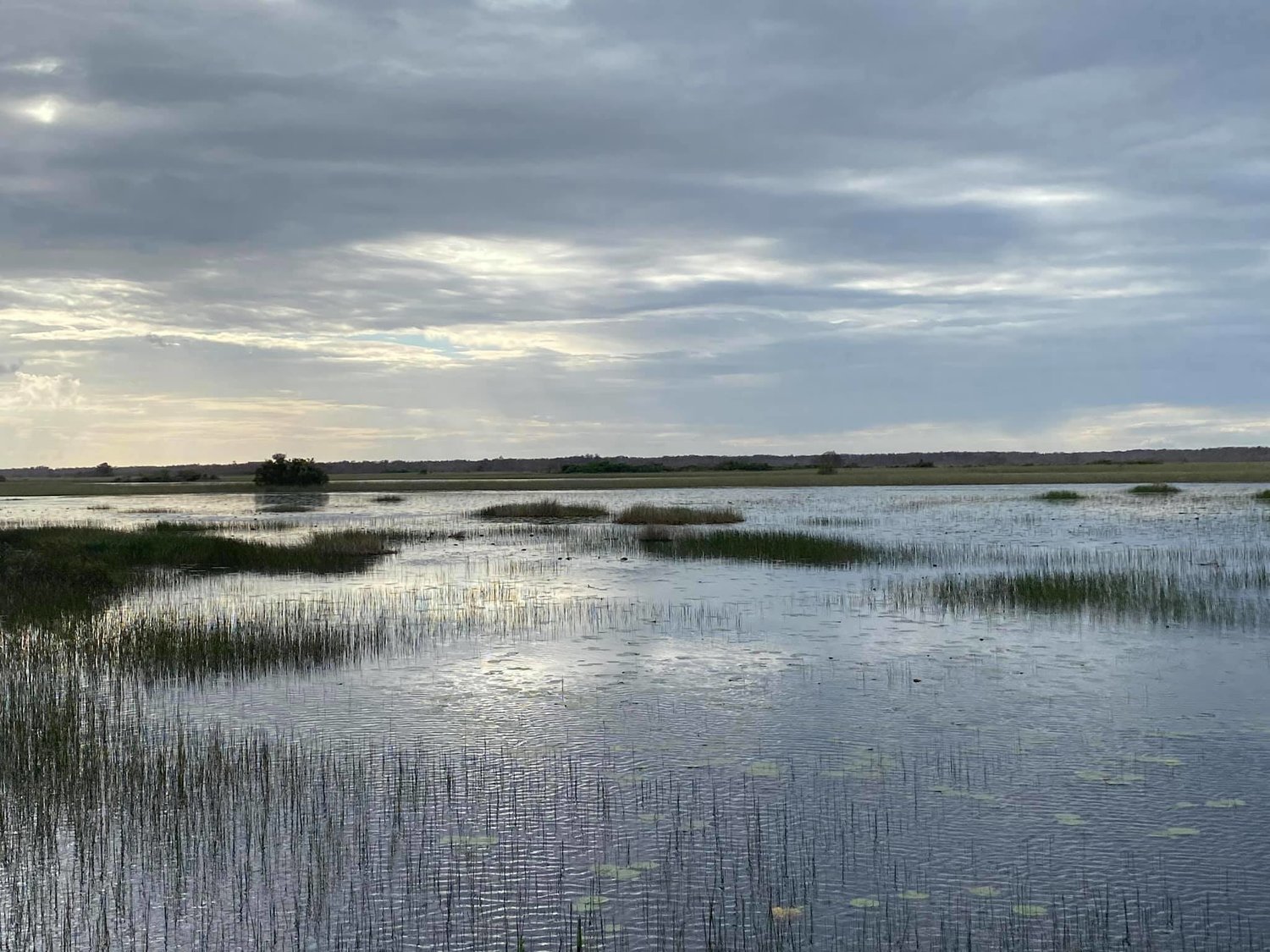 “I felt like I was driving on a lake, not tribal lands,” reported Betty Osceola of the Miccosukee Tribe as she toured the tribal lands in the Everglades after Tropical Storm Eta.